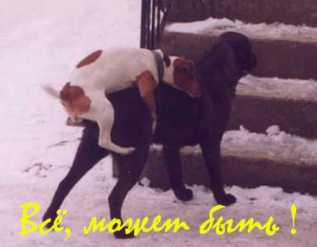 Это может быть только от него