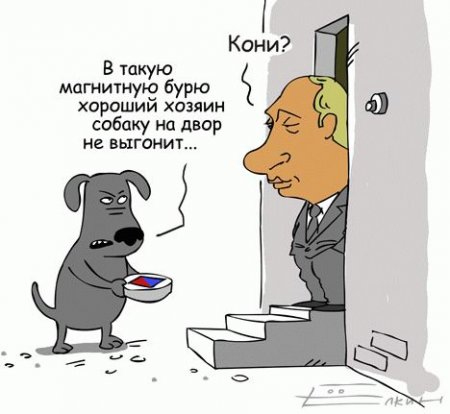 Прикольные картинки 6