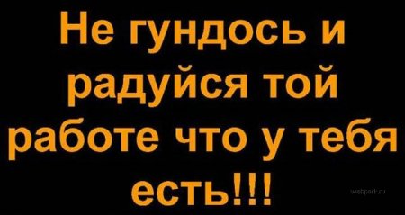 На работу шагом марш! (11 фото)