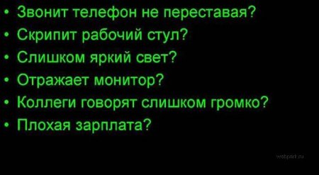 На работу шагом марш! (11 фото)
