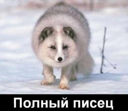 Полный писец!!!