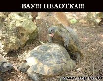Фотоприколы