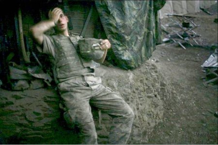 Лучшие фотографии 2007 года (24 фото)