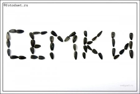 Семки (14 фото)