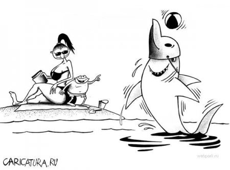 Карикатуры (84 штуки)
