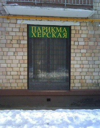 Прикольные картинки