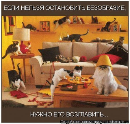 50 лучших котоматриц недели
