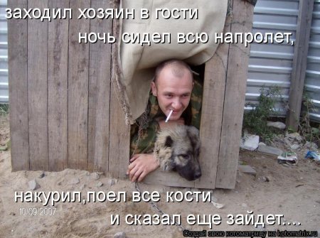 50 лучших котоматриц недели