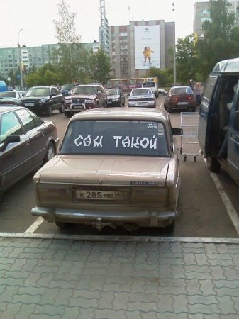 Прикольные картинки