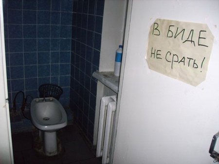 Туалетный юмор