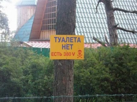 Туалетный юмор