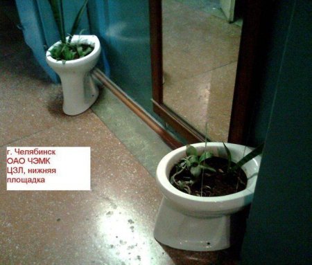Туалетный юмор
