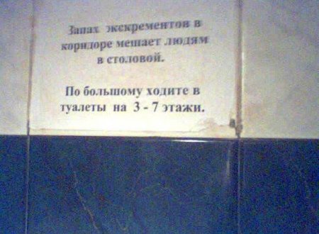 Туалетный юмор