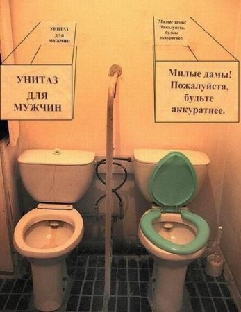 Туалетный юмор