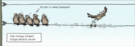Прикольные картинки