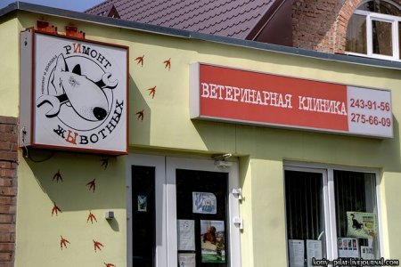 Прикольные картинки