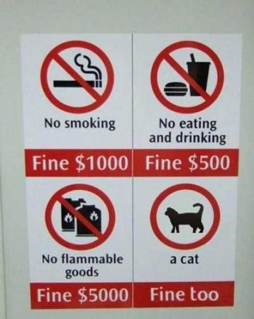 Прикольные картинки