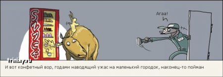Прикольные картинки