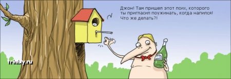 Прикольные картинки