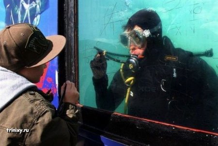 Прикольные картинки