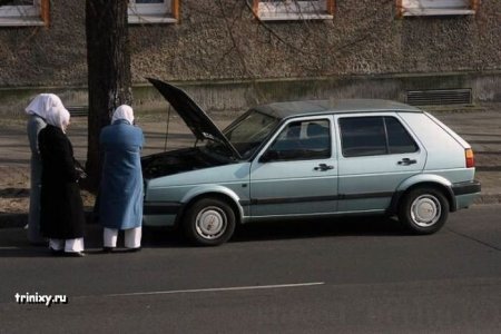 Прикольные картинки