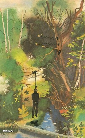 Рисунки в учебниках