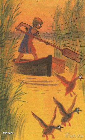 Рисунки в учебниках
