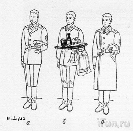 Рисунки в учебниках
