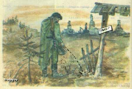 Рисунки в учебниках