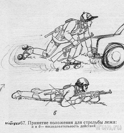 Рисунки в учебниках
