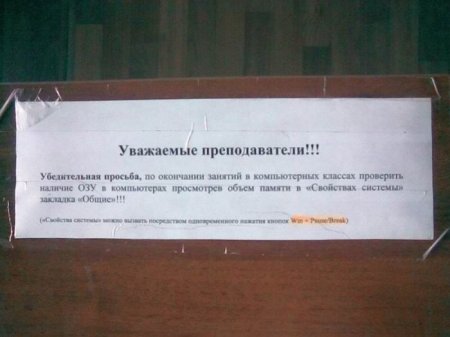 Прикольные картинки