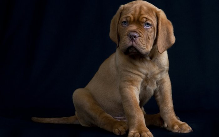 Обои на рабочий стол /Computer Desktop Wallpapers Collection 759