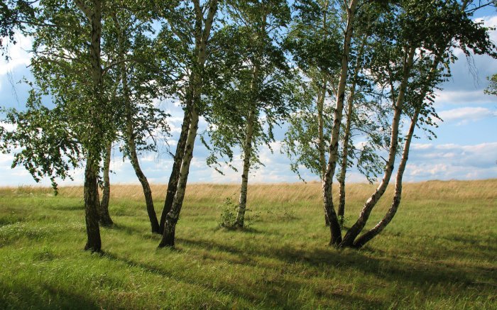 Обои на рабочий стол /100 Excelent Landscapes HD Wallpapers (Set 248)