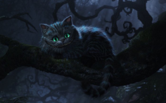 Обои на рабочий стол / Mix Wallpaper 1920x1200