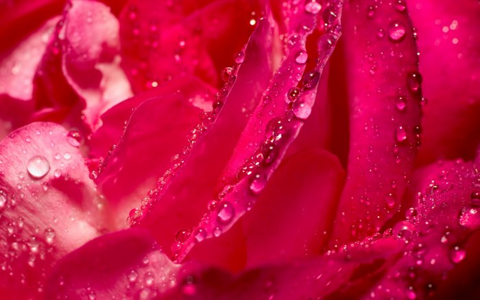 Обои на рабочий стол / Mix Wallpaper 1920x1200