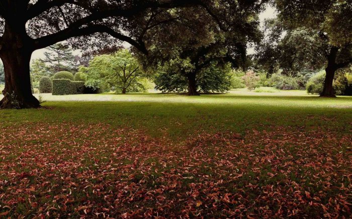 Обои на рабочий стол / Picturesque Scenery Nature Wallpapers 27