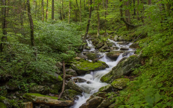 Обои на рабочий стол / Nature Wallpapers 673