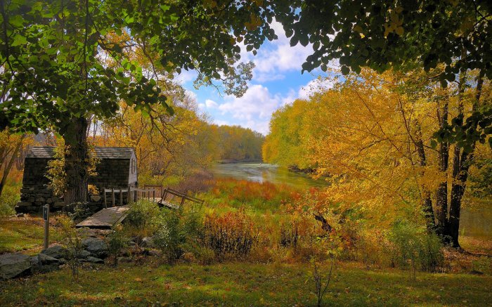 Обои на рабочий стол / Nature Wallpapers 673