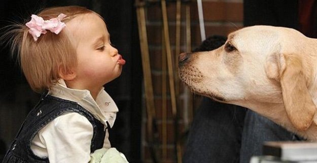 СОБАКИ И ДЕТИ