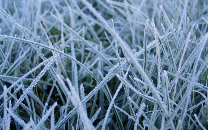 Обои на рабочий стол / HD Computer Mix Wallpaper 7