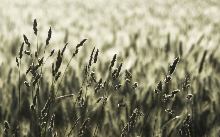 Обои на рабочий стол / HD Computer Mix Wallpaper 7