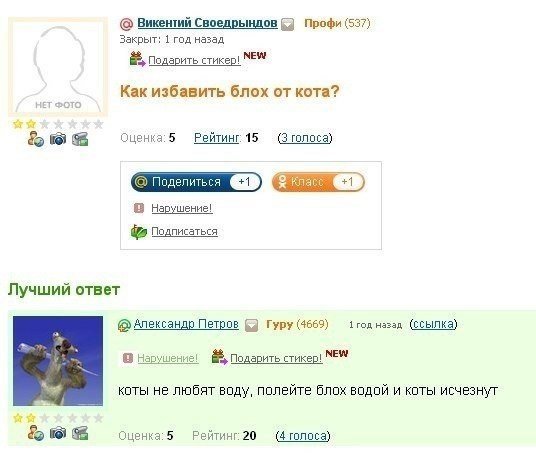 Жизнь без мозга возможна! (Социальные сети.)