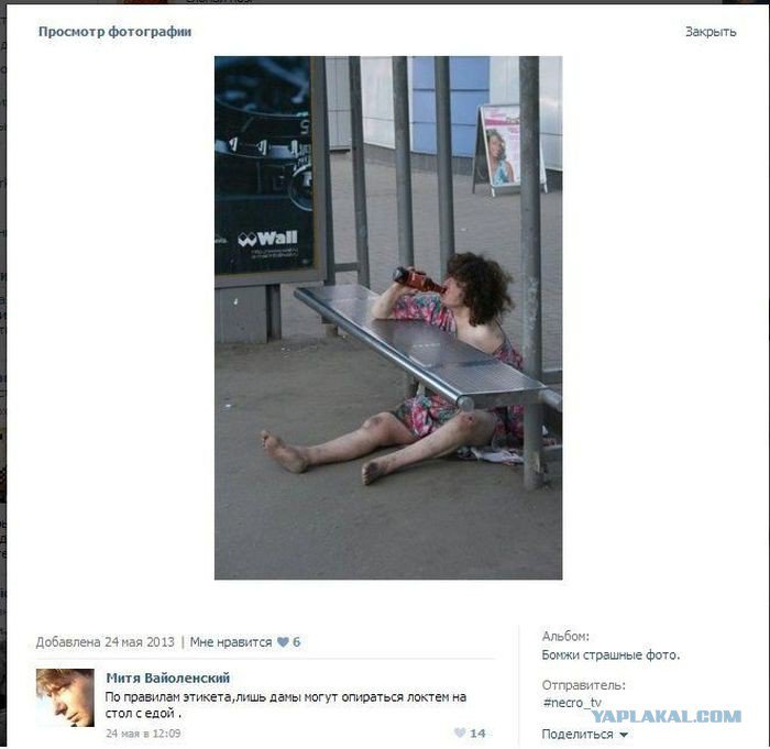 Жиденькая подборка пятничных вяло-прикольных картинок