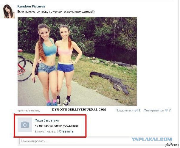 Жиденькая подборка пятничных вяло-прикольных картинок