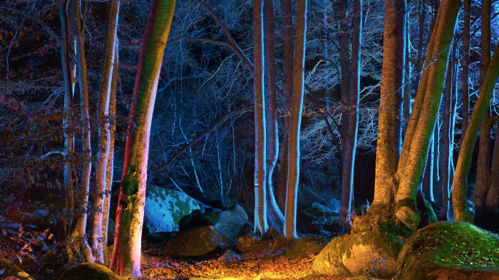 Обои на рабочий стол / HQ Wallpapers Pack (Part 210)