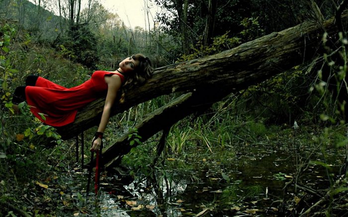 Обои на рабочий стол / HQ Wallpapers Pack (Part 210)