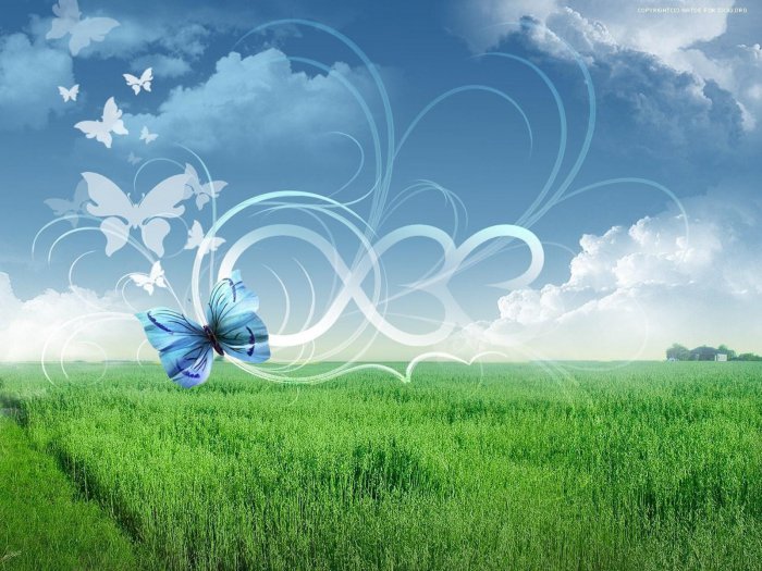 Обои на рабочий стол /Wallpapers by famdoc mix 86 