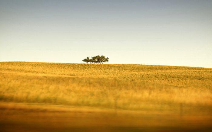 Обои на рабочий стол /Wallpapers. HQ. Mix 546