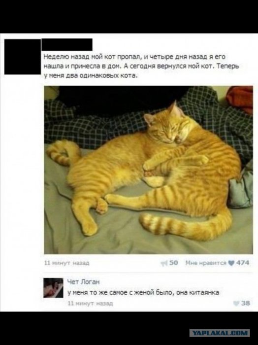 Жиденькая подборка пятничных вяло-прикольных картинок