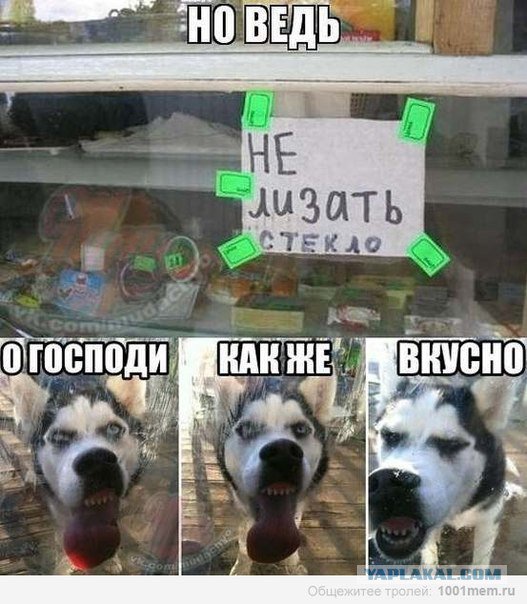 Жиденькая подборка вяло-прикольных картинок №3